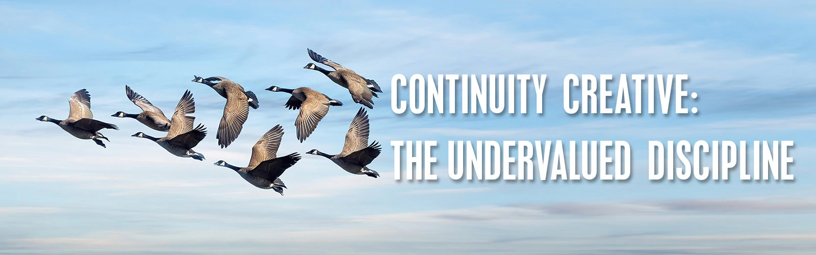 Persp_1600x500_C-Creative